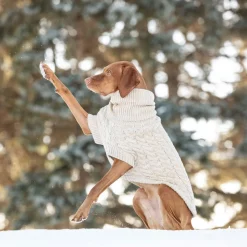 Chunky Cable Knit Turtleneck Chalet Sweater for Dogs