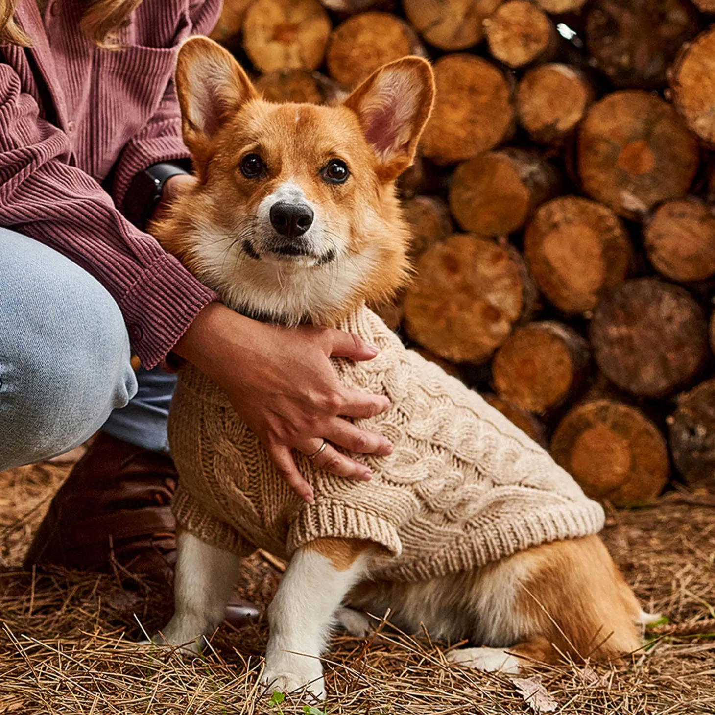 Chunky Cable Knit Turtleneck Chalet Sweater for Dogs