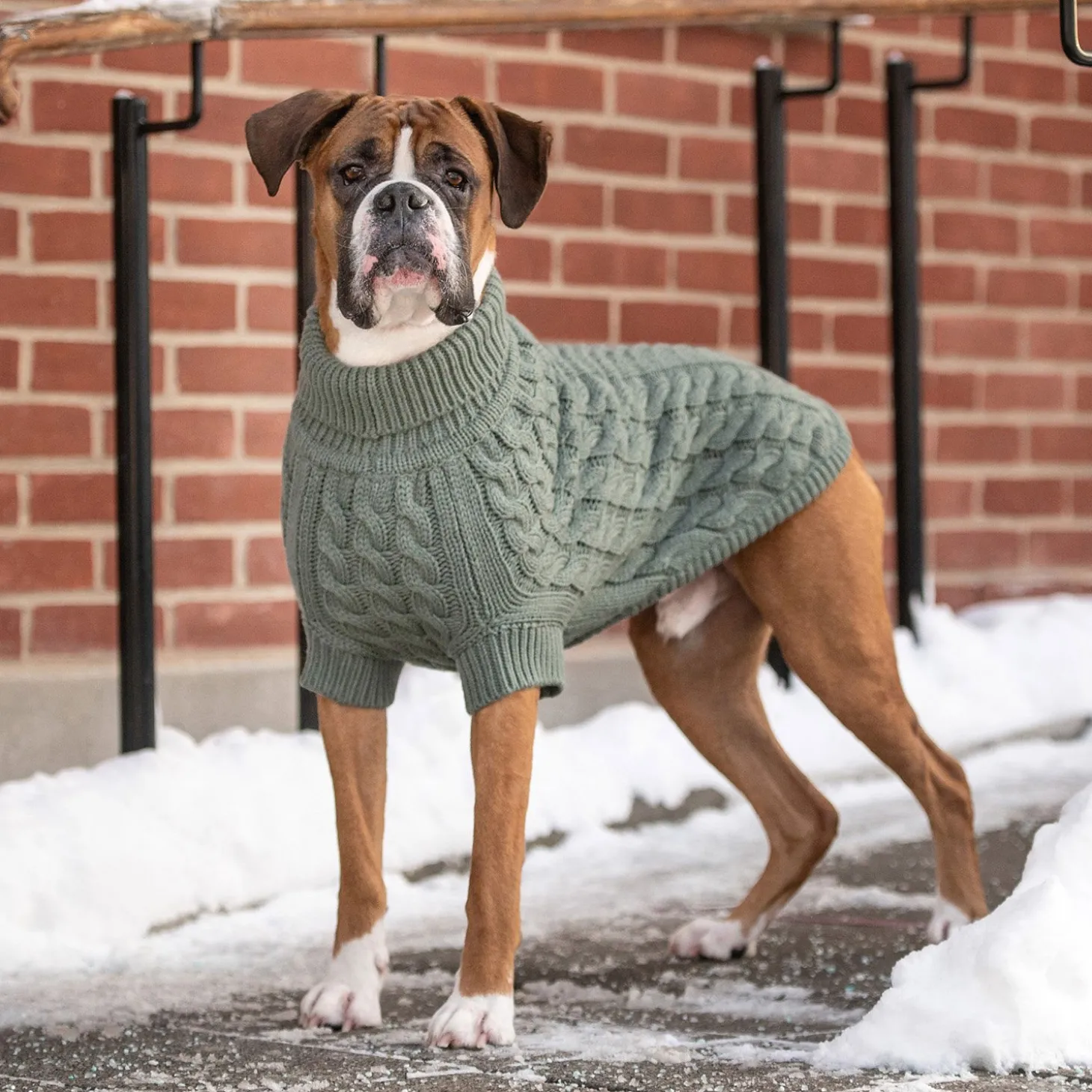 Chunky Cable Knit Turtleneck Chalet Sweater for Dogs