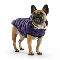 Cloud Parka for Dogs