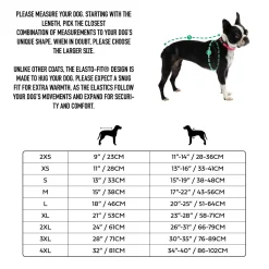 Cloud Parka for Dogs
