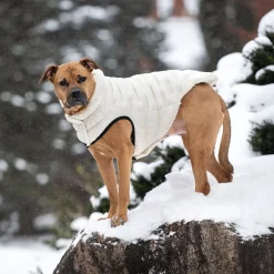 Cloud Parka for Dogs