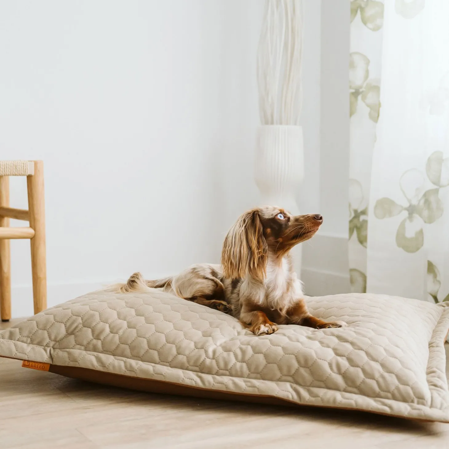 Cloud Pillow Faux Leather Cover, Honeycomb