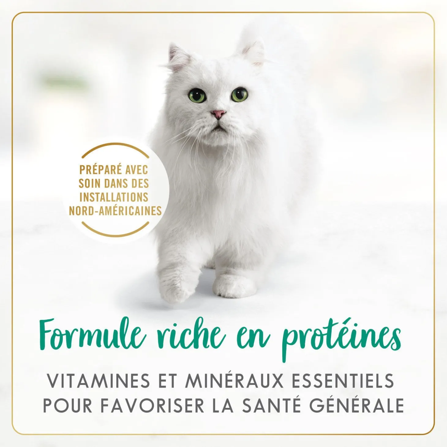 Cod, sole and shrimp wet food for adult cats