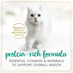 Cod, sole and shrimp wet food for adult cats