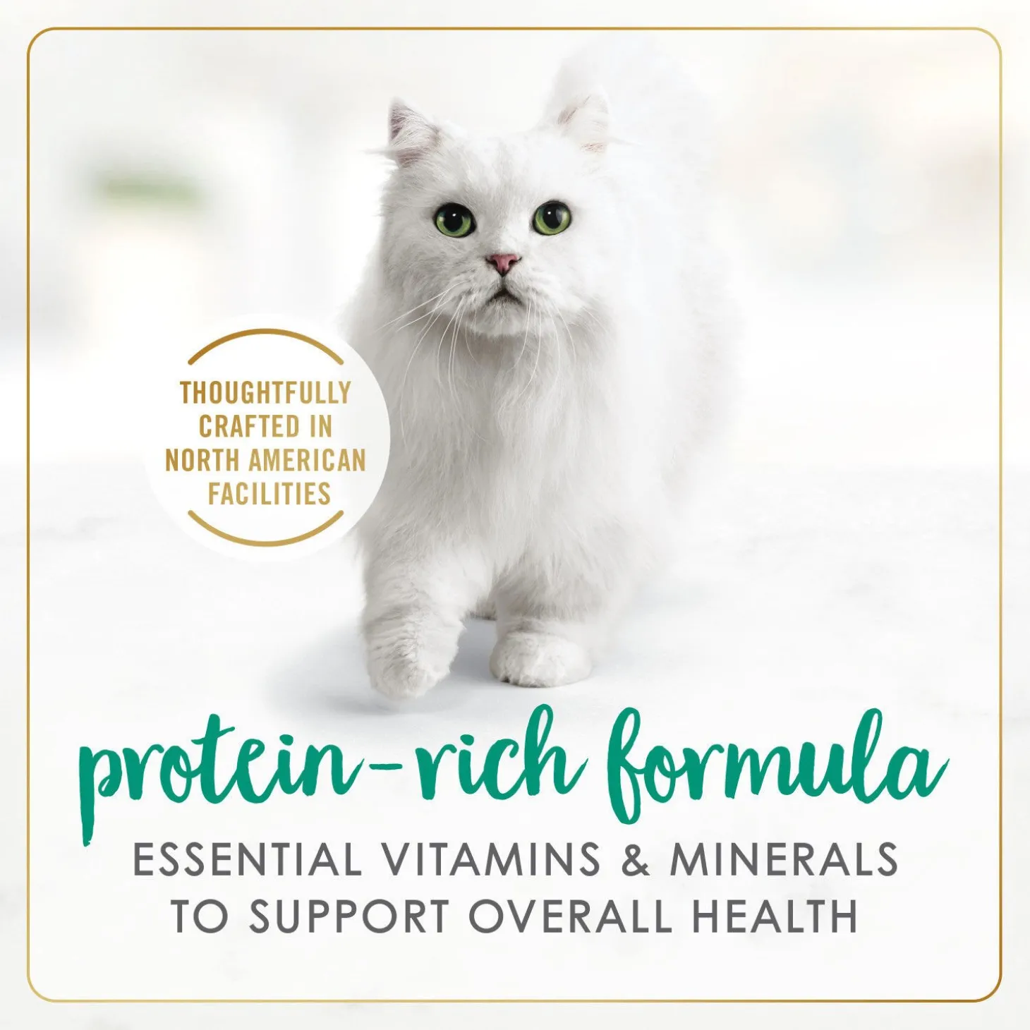 Cod, sole and shrimp wet food for adult cats