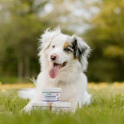 Colostrum All Natural Bovine Colostrum for Cats and Dogs