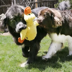 Comfort Jumbo Dog Toy