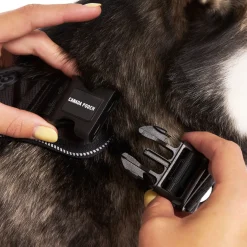 Complete Control Harness for Dogs