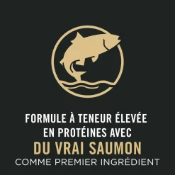 Complete Essentials Salmon & Rice Dry Cat Food Formula, 3.18 kg