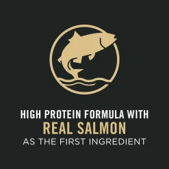 Complete Essentials Salmon & Rice Dry Cat Food Formula, 3.18 kg