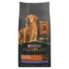 Complete Essentials Shredded Blend Lamb & Rice Dry Food for Adult Dogs, 2.27 kg