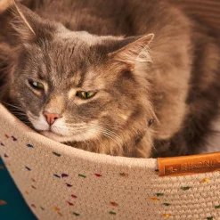 Confetti Cotton Pet Basket