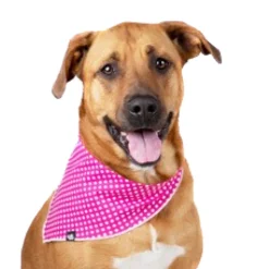 Cotton bandana for dogs and cats