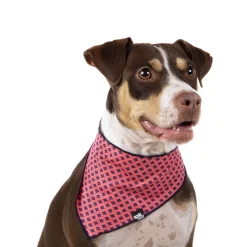 Cotton bandana for dogs and cats