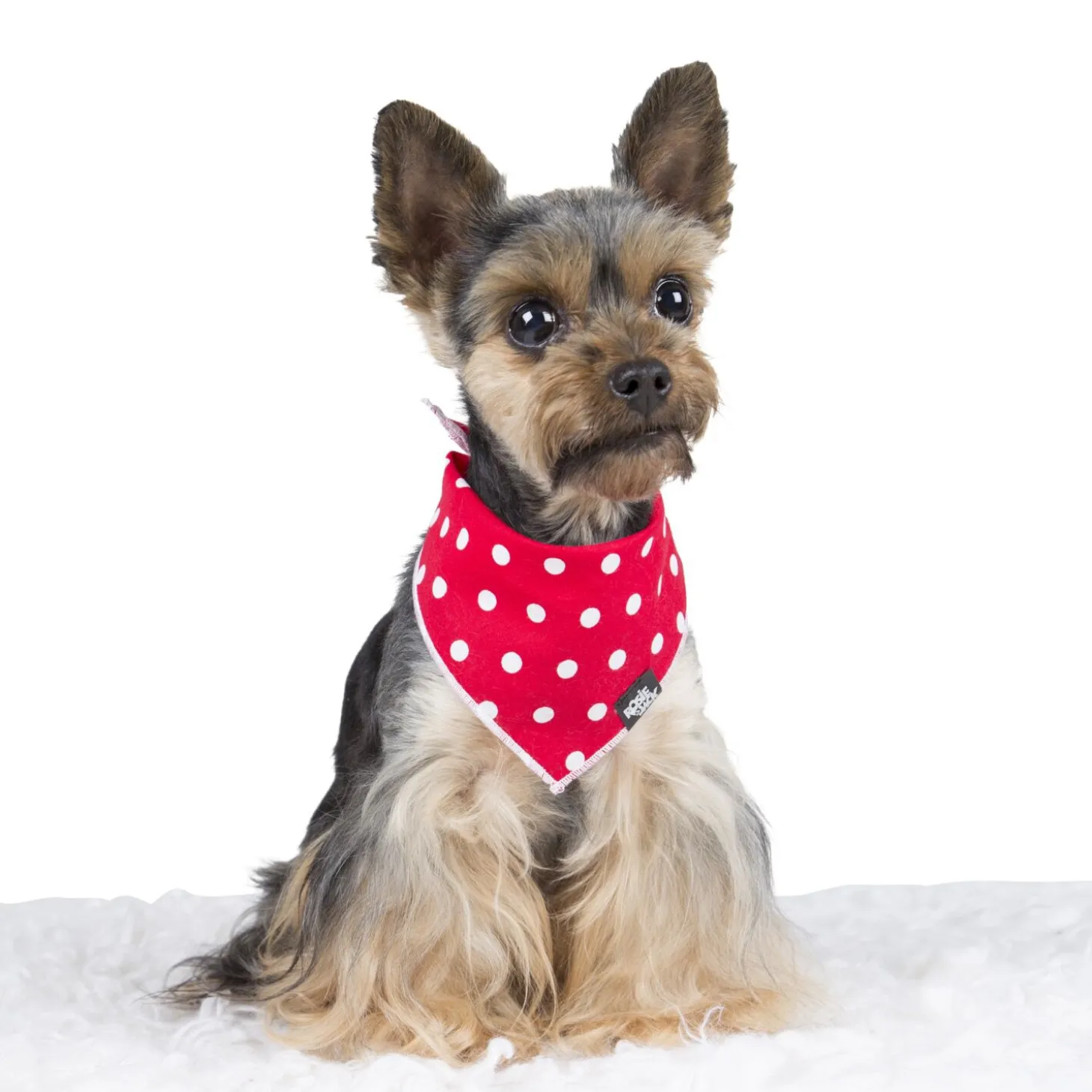 Cotton bandana for dogs and cats