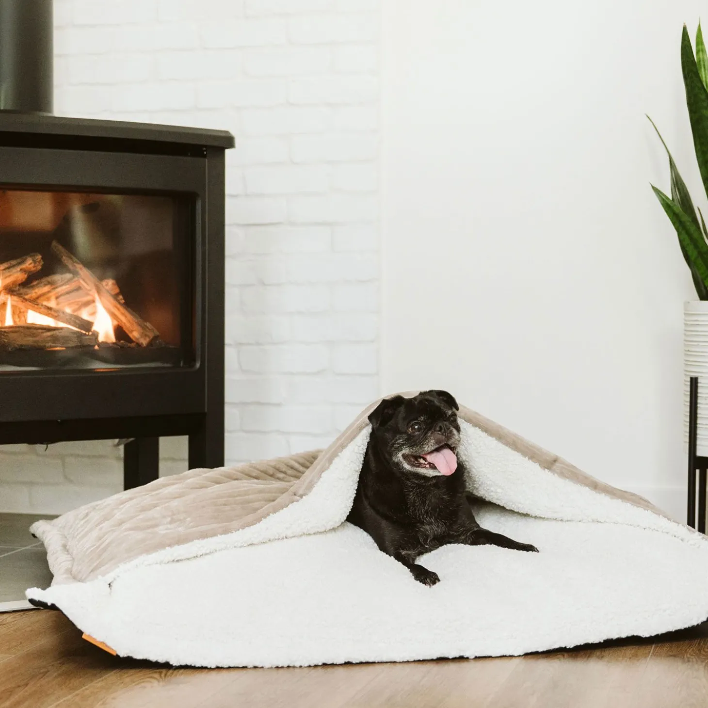 Cozy Cave Cloud Pillow
