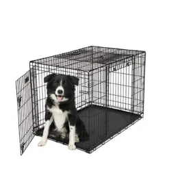 Crate with Two Doors for Dogs