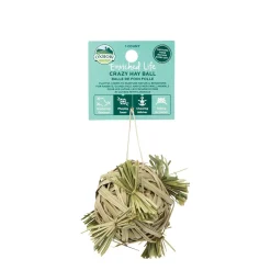 Crazy Hay Ball for Rodents