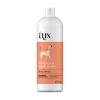 Curly Coat Shampoo for Dogs, 475 ml