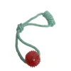 Dental toy with knotted pulling rope and ball