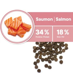 Derma Salmon Flavoured Adult Cat Dry Food