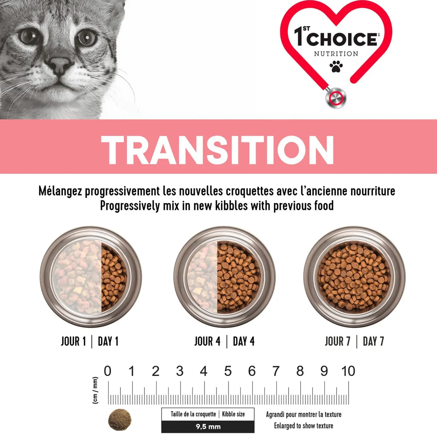 Derma Salmon Flavoured Adult Cat Dry Food