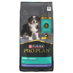 Development Lamb & Rice Formula Dry Puppy Food, 15.4 kg