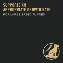 Development Large Breed Chicken & Rice Dry Puppy Food Formula, 15.4 kg