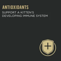 Development Salmon & Ocean Fish Entrée for Kittens, 85 g