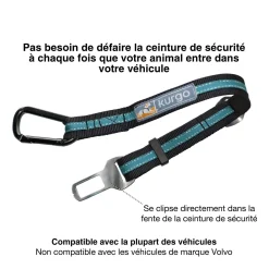Direct to Seatbelt Tether, Coastal Blue