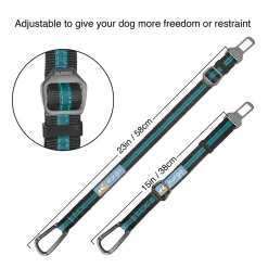 Direct to Seatbelt Tether, Coastal Blue