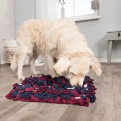 Dog Activity sniffing carpet