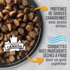 Dog food for large breed chicken