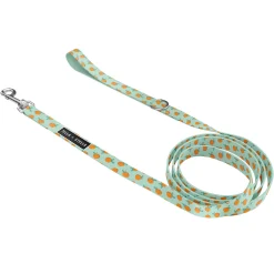 Dog Leash