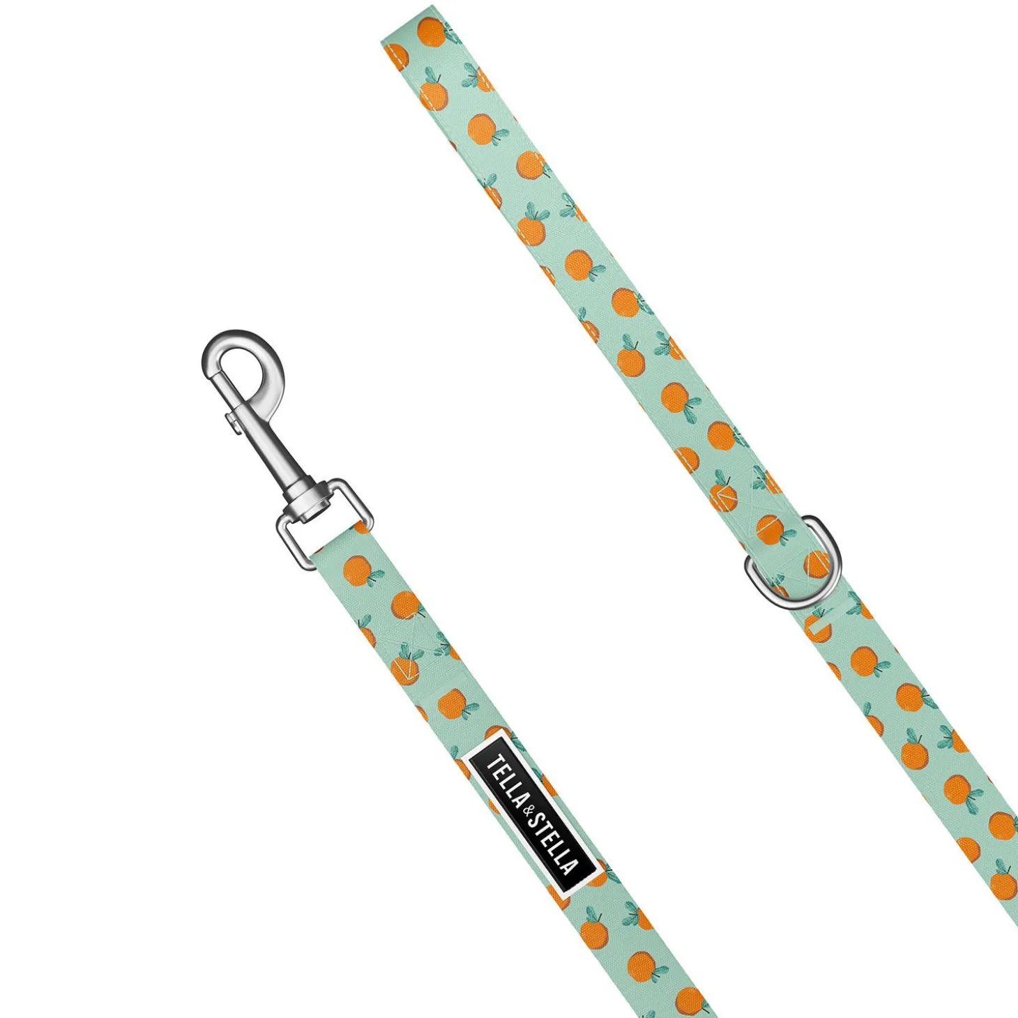 Dog Leash