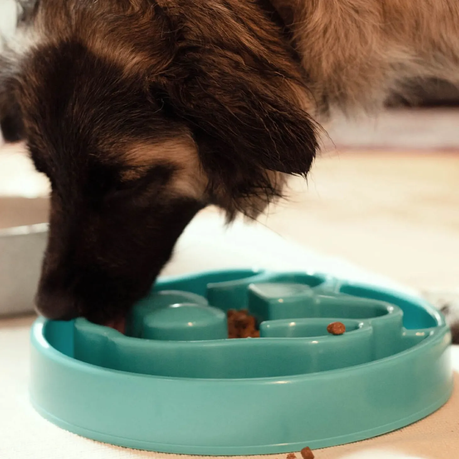 Dog Slow Feeder, Turquoise