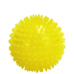 Dog Spike Ball
