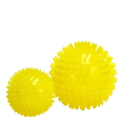 Dog Spike Ball