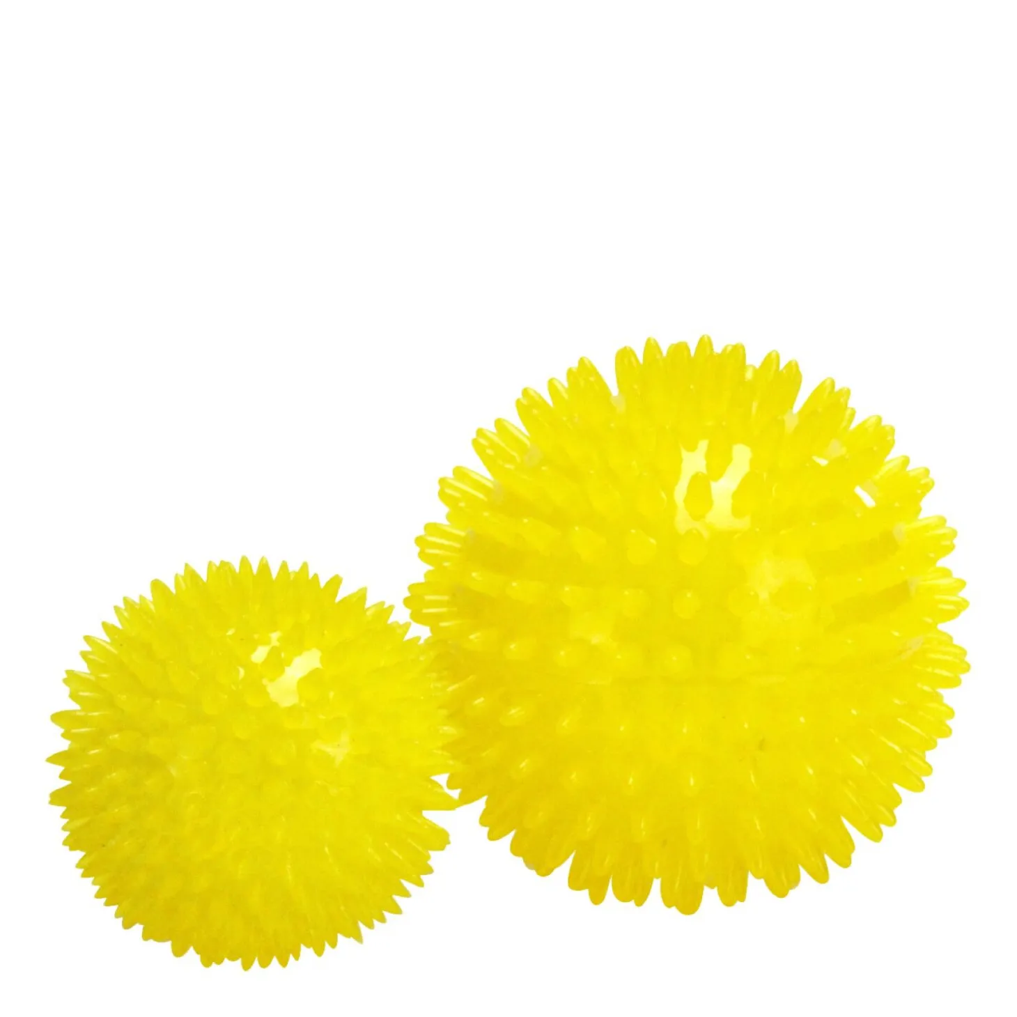 Dog Spike Ball