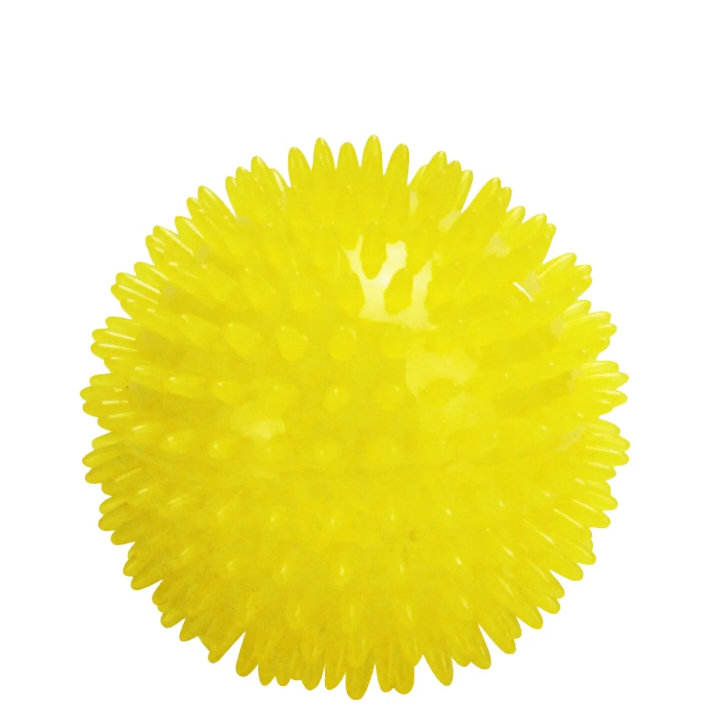 Dog Spike Ball