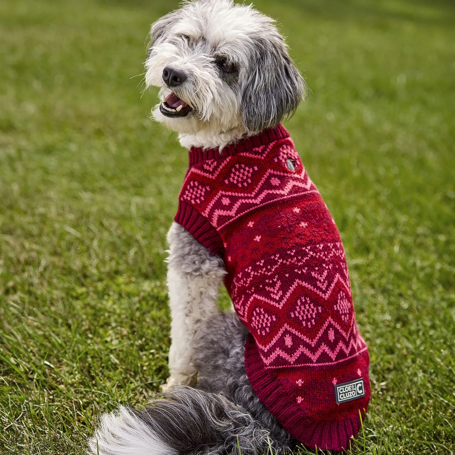 Dog Sweater