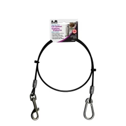 Dog Tie-Out car System