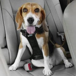 Dog Travel Harness