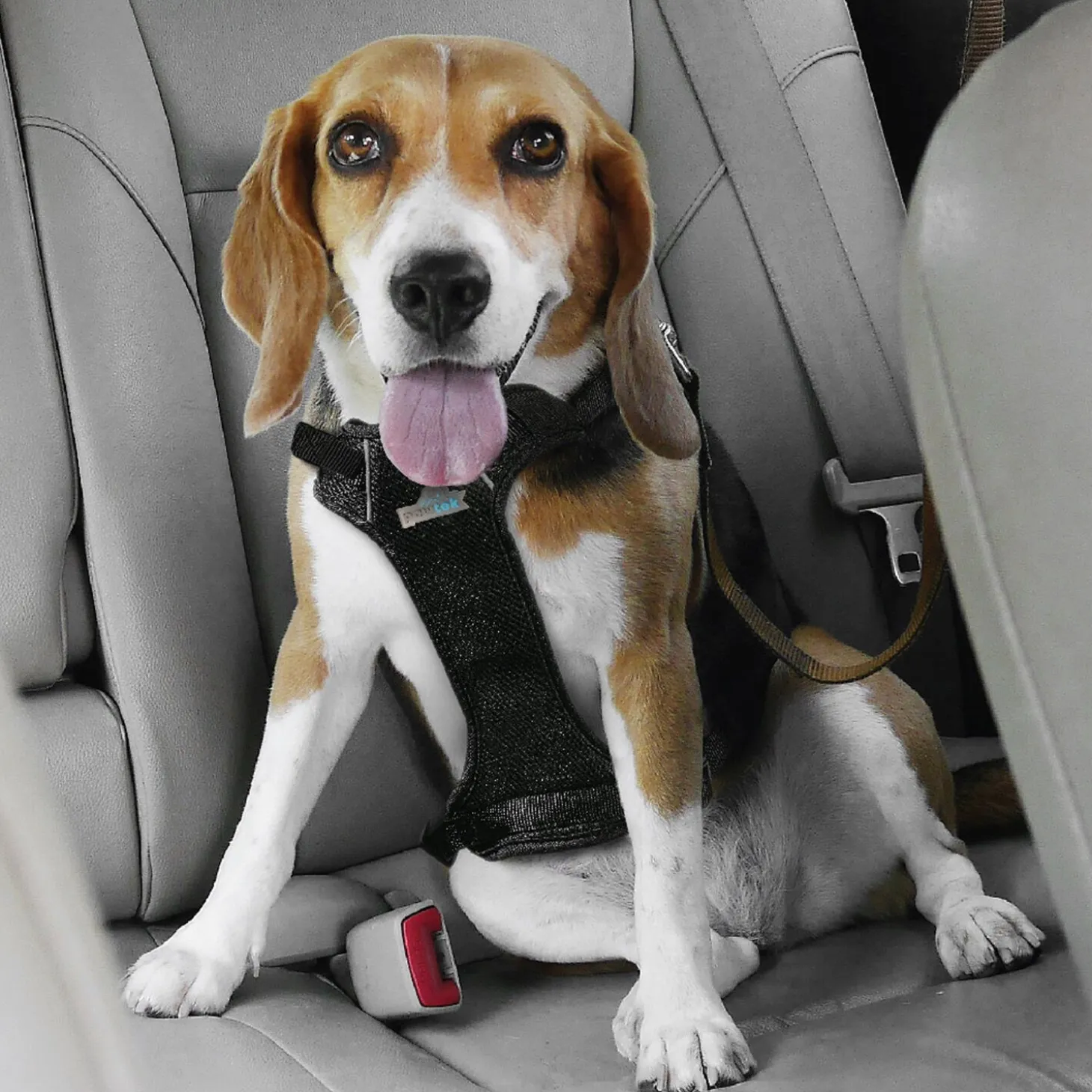Dog Travel Harness