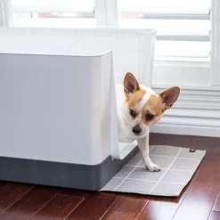 Doggy Bathroom Starter Kit, Dark Grey