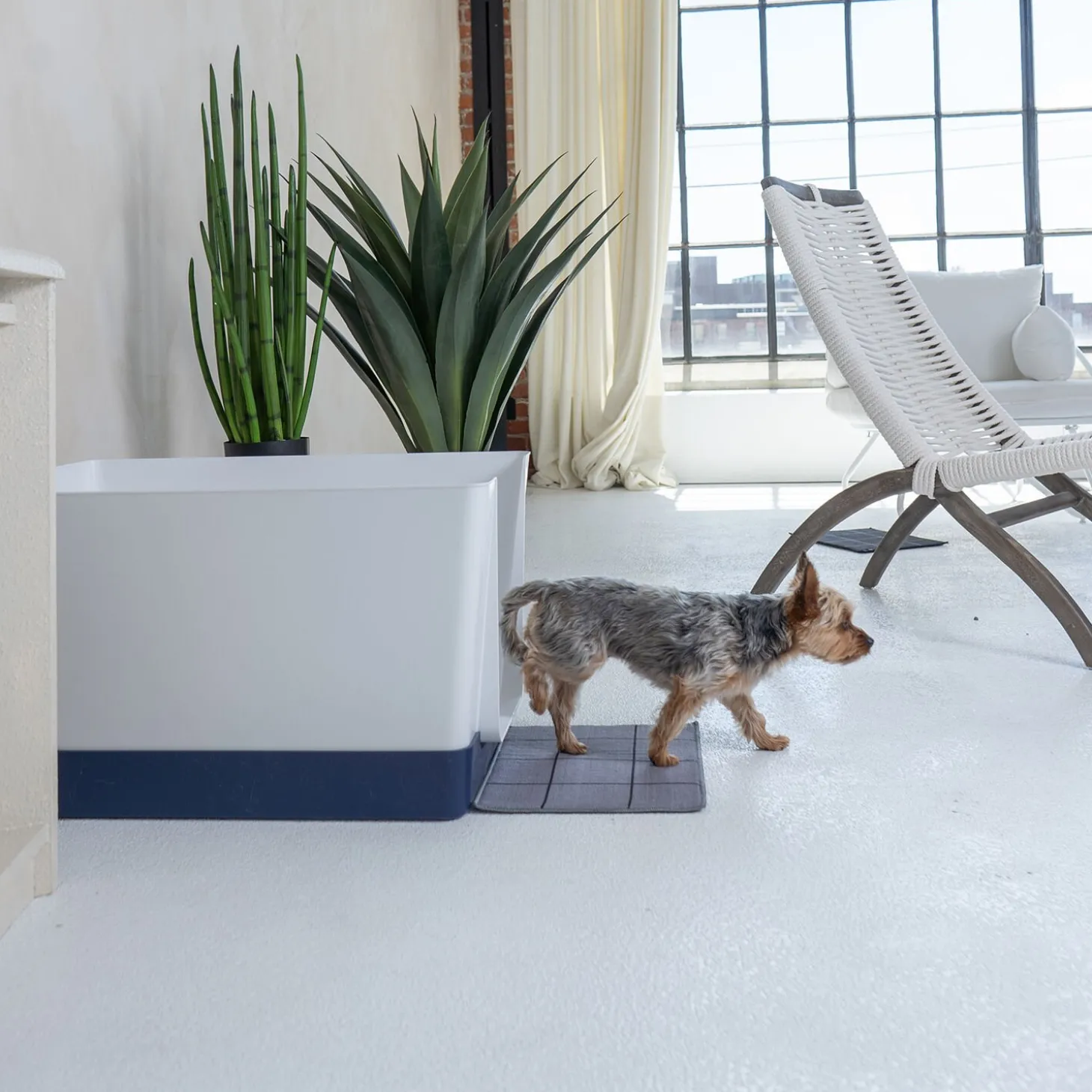Doggy Bathroom Starter Kit, Navy Blue