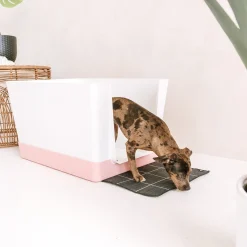 Doggy Bathroom Starter Kit, Pink