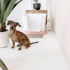 Doggy Bathroom Starter Kit, Pink
