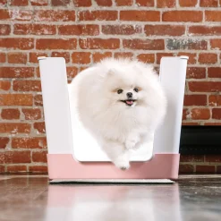 Doggy Bathroom Starter Kit, Pink